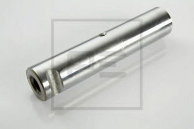 PE AUTOMOTIVE 03406300a -  Палец ушка рессоры